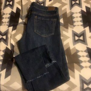 NWOT Dear John Joyrich denim skinny jeans